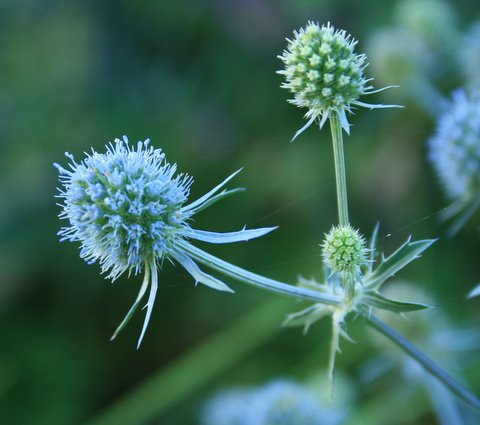 [IMG_5426-761303.JPG]