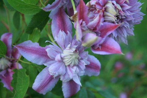 [IMG_5441-765495.JPG]