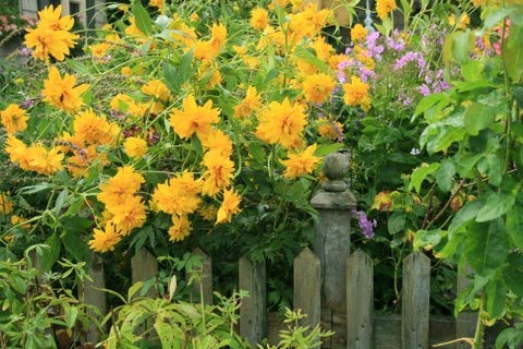 [IMG_5212-768043.JPG]