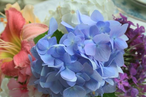 [IMG_5992-773998.jpg]