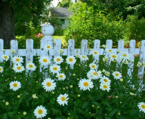 [IMG_7952-711875.jpg]