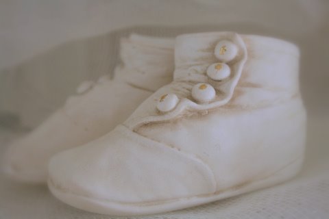 [IMG_5180-772048.JPG]