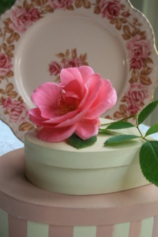 [IMG_8970-751313.JPG]