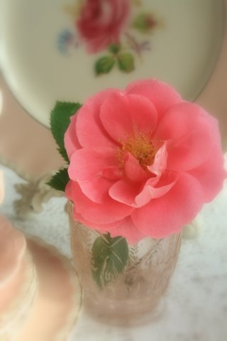 [IMG_8997-759583.JPG]