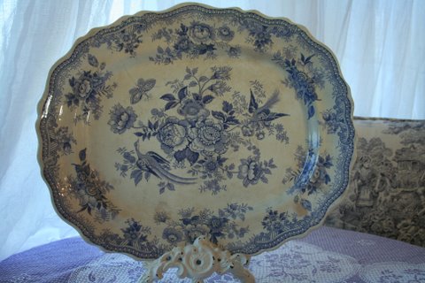 [IMG_9158-784878.jpg]