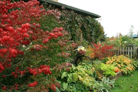 [IMG_9224-779510.JPG]