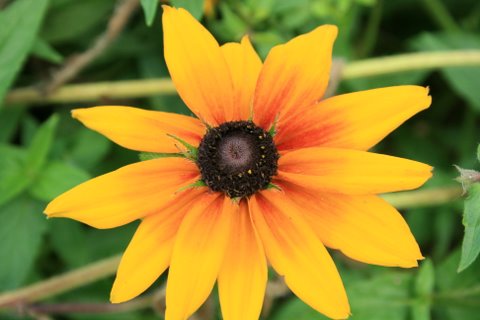 [IMG_9281-790043.JPG]