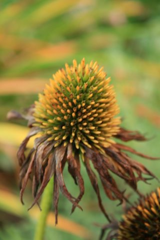 [IMG_8911-796134.jpg]