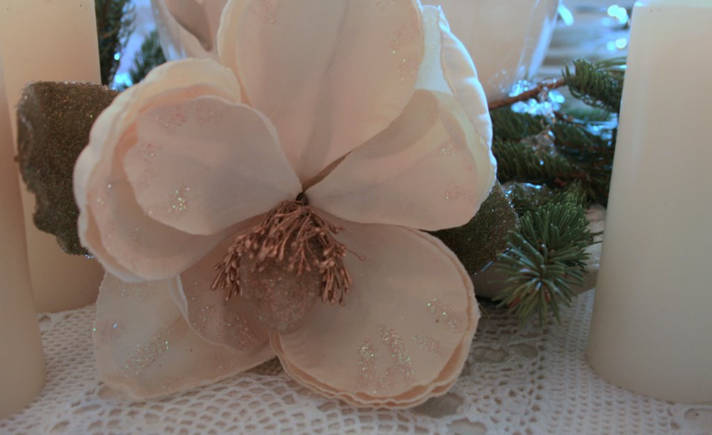 [IMG_5244-753221.jpg]