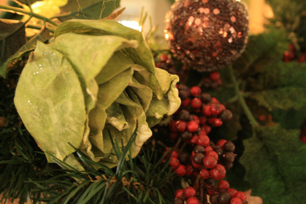 [IMG_5103-747765.jpg]