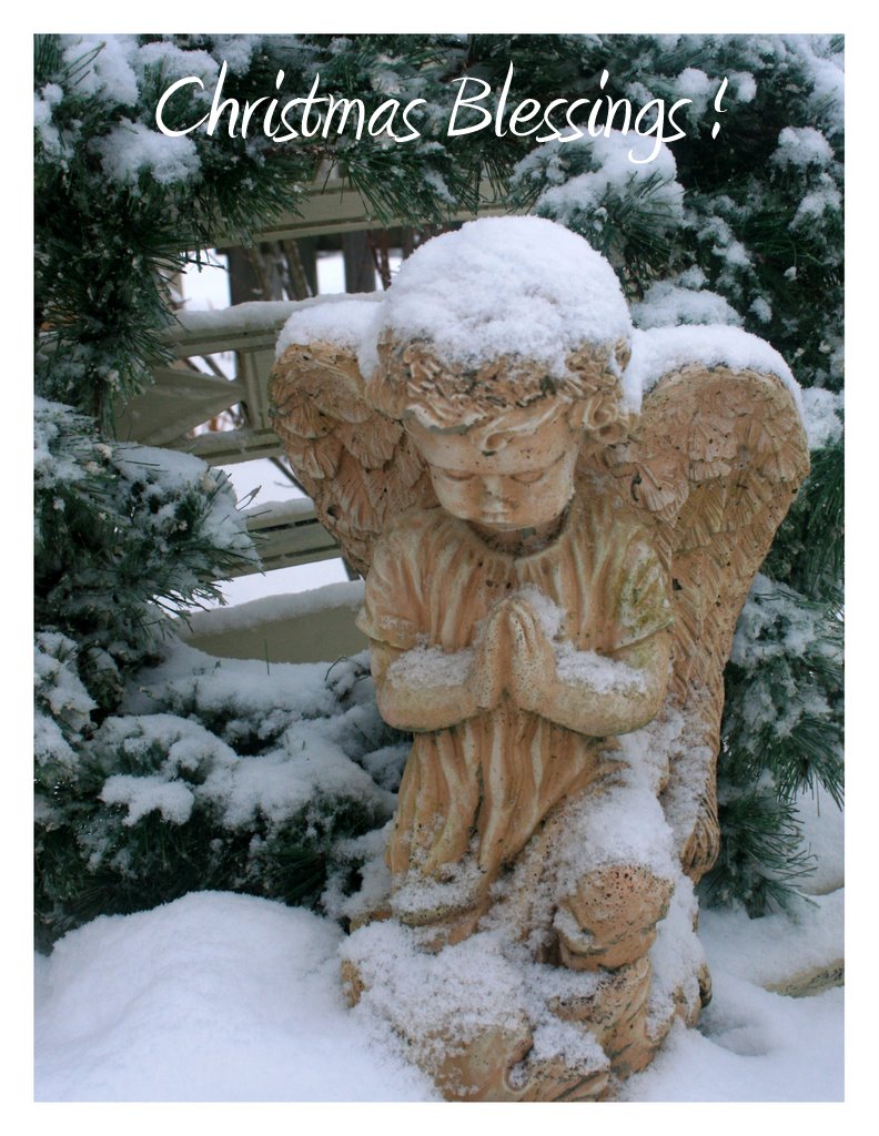 [2009-12-16-2103-342-712775.jpg]