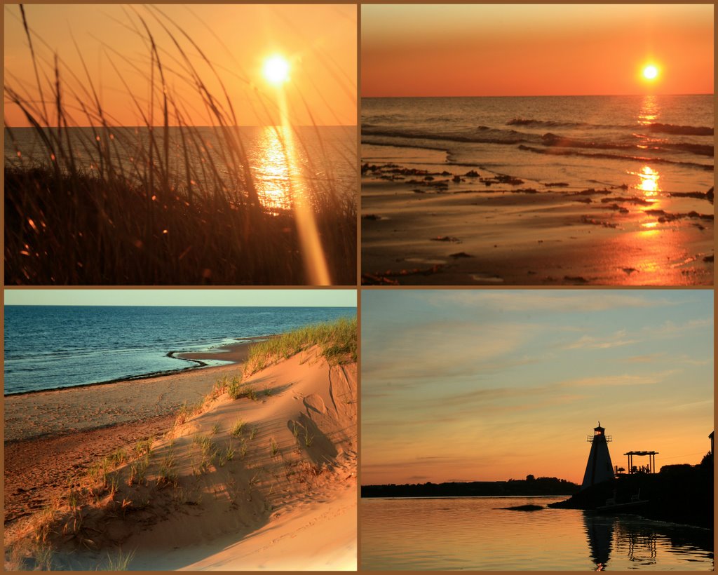 [Collages67-712526.jpg]