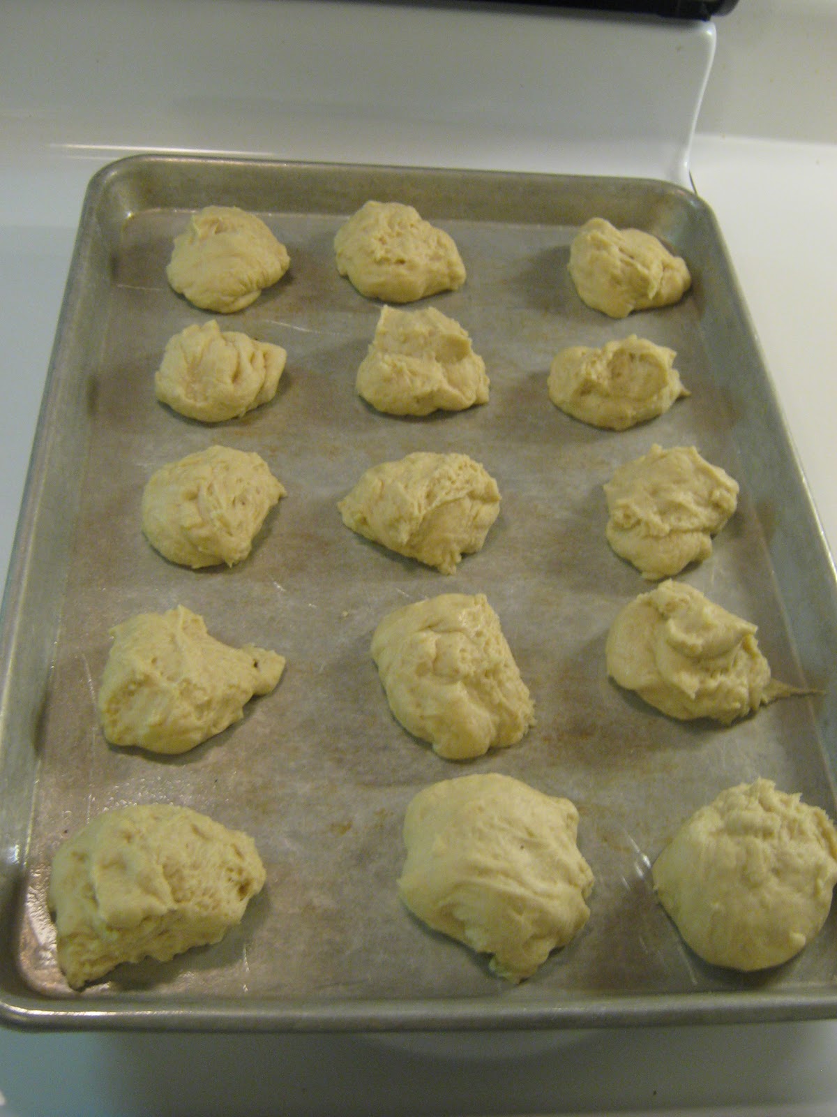Not Leftovers Again! Bread Machine Dinner Rolls