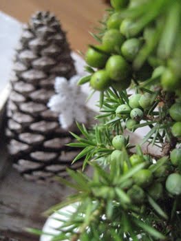 [Ikea+Vasen+Zapfen.JPG]