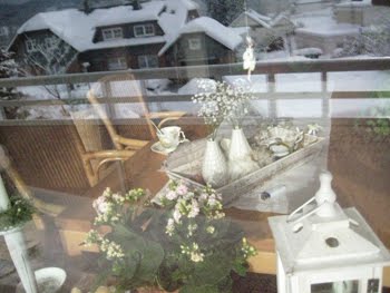 [Wohnzimmerfenster.JPG]