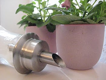 [Frühstück_Streuernah.JPG]