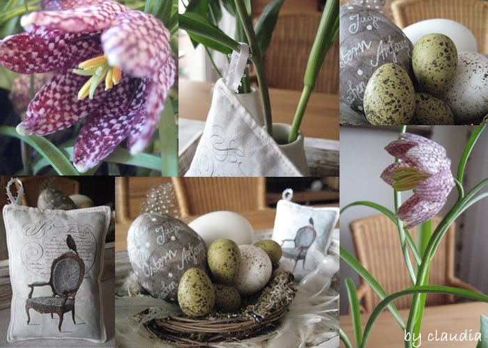 [Schachbrettblume+Kopie.jpg]