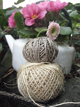 [rosaPrimeln_KanneBand.JPG]