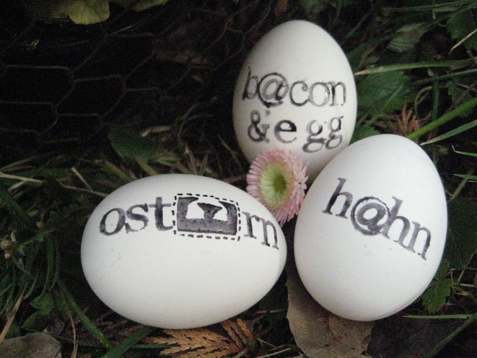 [Primeln_Ostereier.JPG]