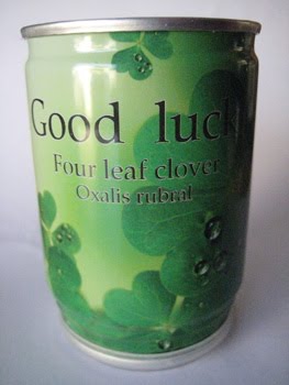 [Fliegenpilz1_1.jpg]