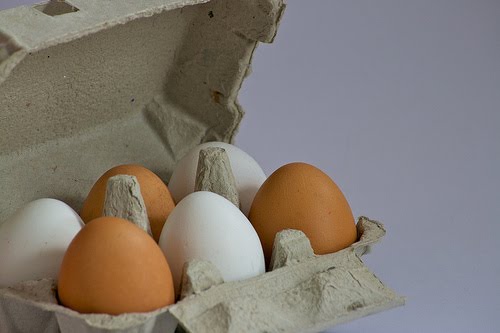 [eggs.jpg]