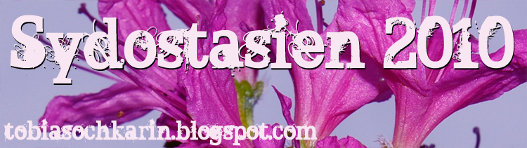 Sydostasien 2010