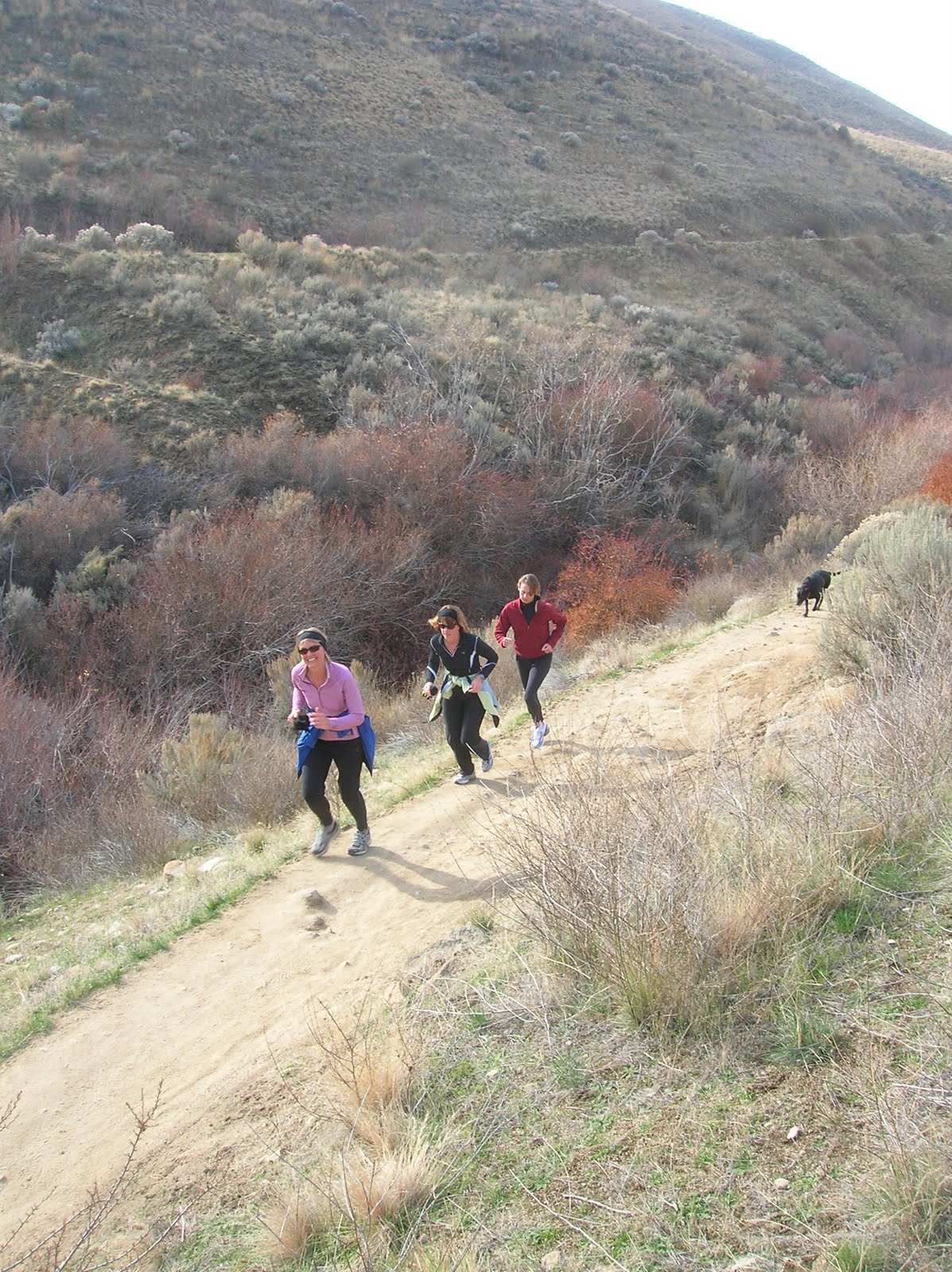 Stueby's Outdoor Journal Boise Foothills lowelevation trails are in