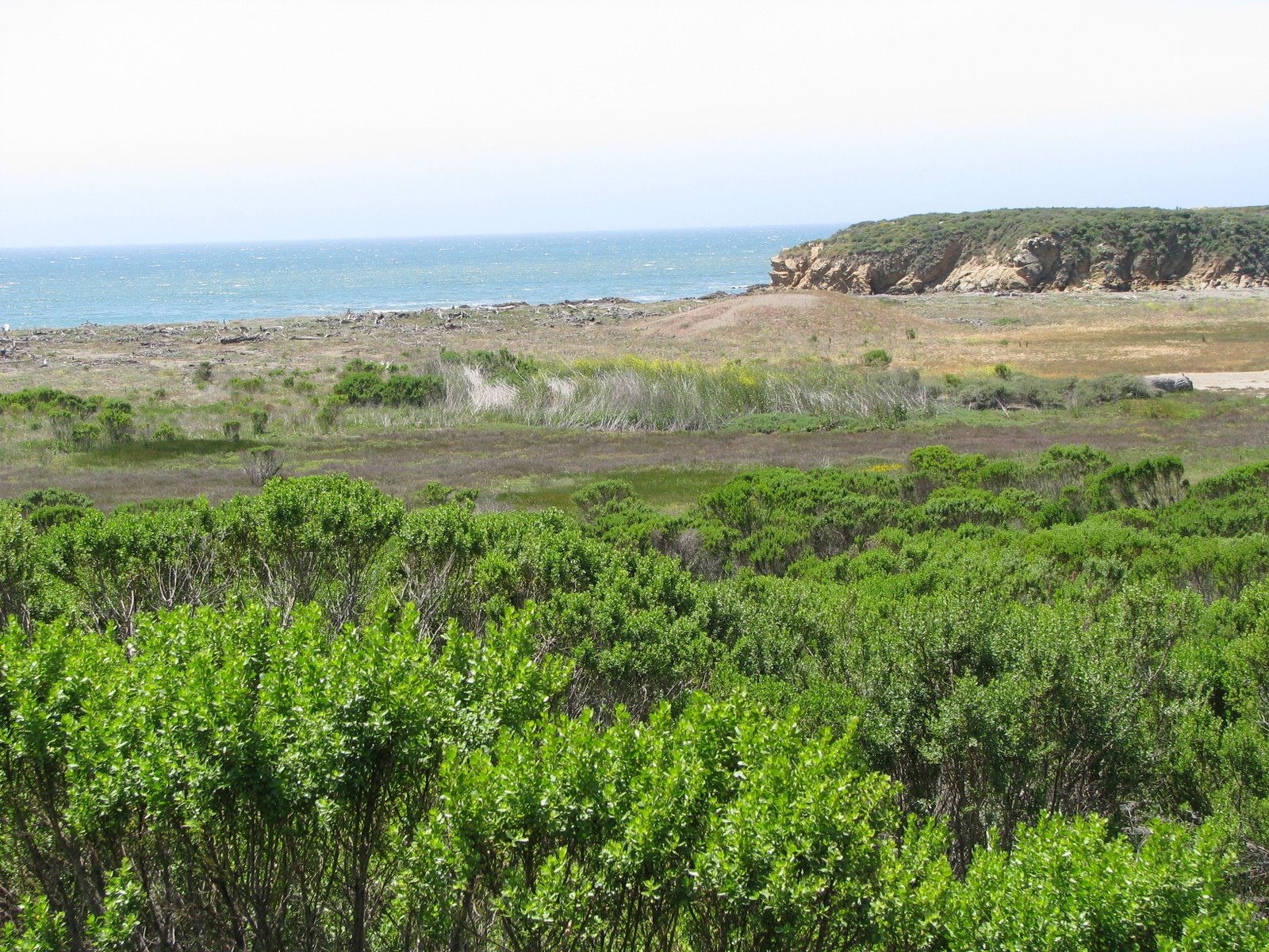 [IMG_0022.JPG]