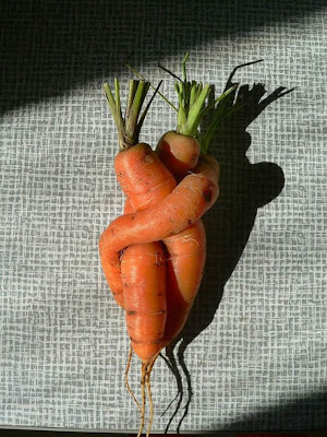 carrot+love.jpg
