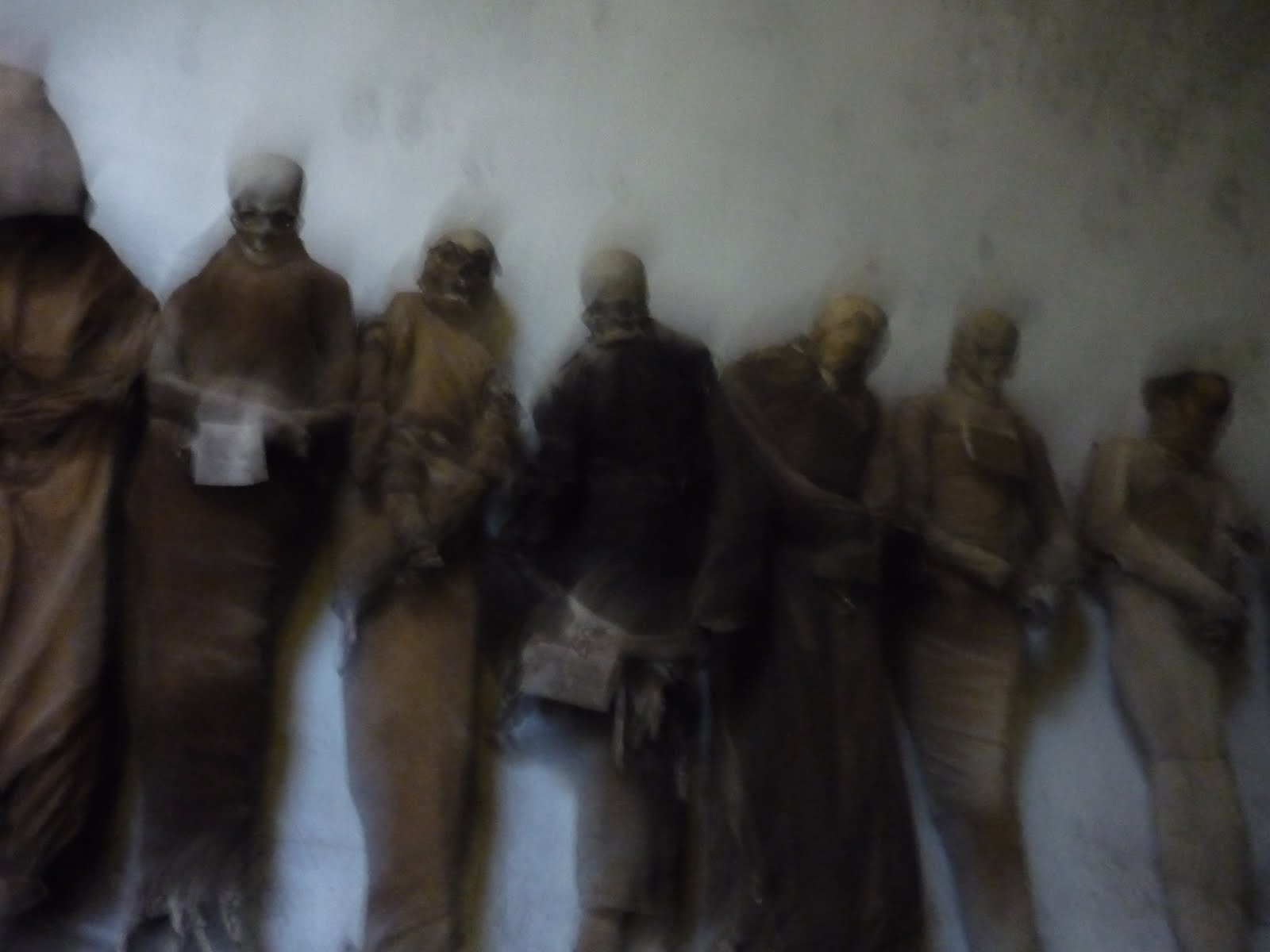 roscoe and timmy: I see dead people