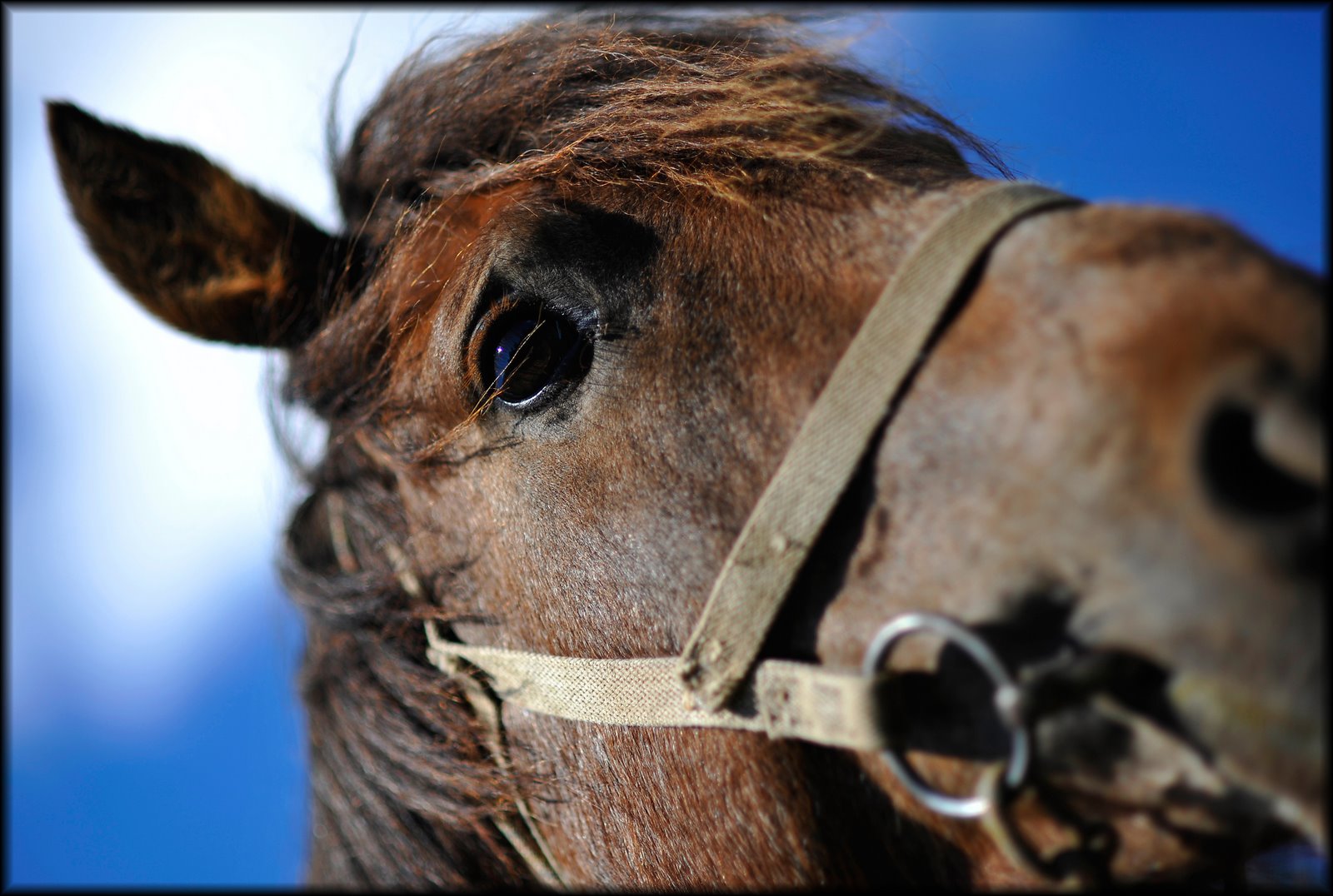 [Altai+photos002.jpg]