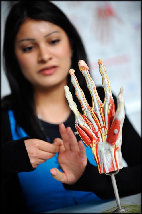 [Occupational+Therapy018.jpg]