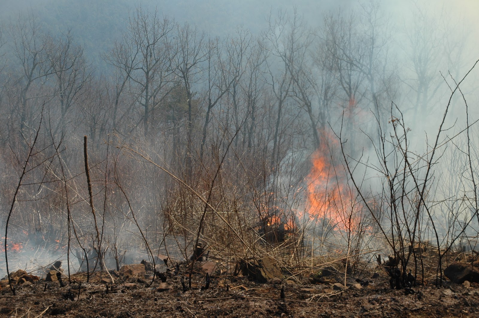 A Park Ranger's Life Dry Conditions Produce Fire Threats In Western