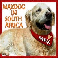 In Memory of our Friend MaxDog!