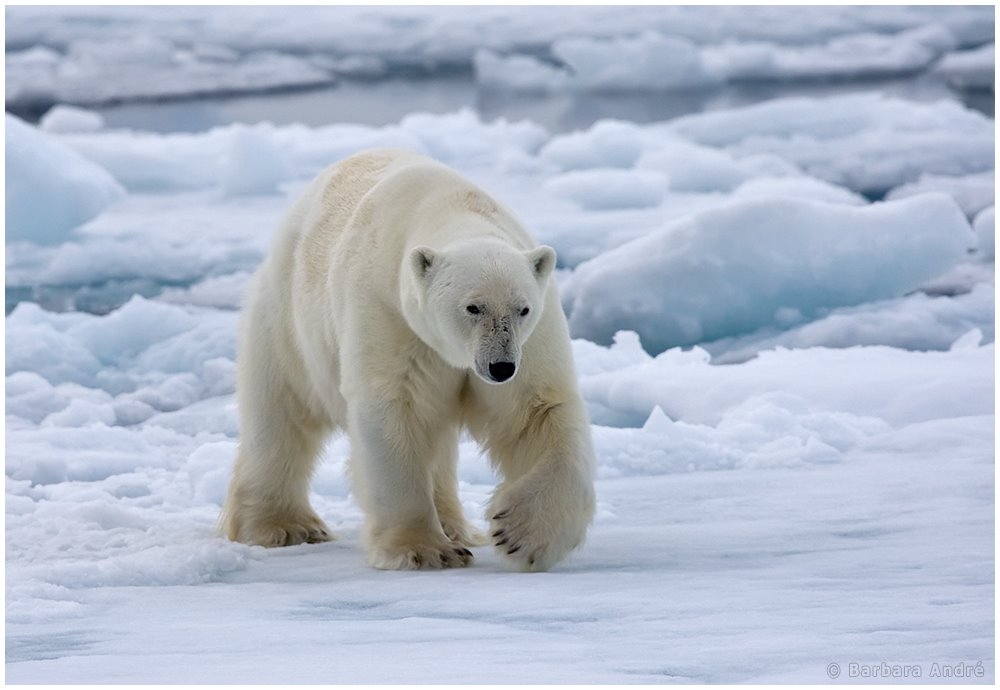 [13837366-708853.jpg]