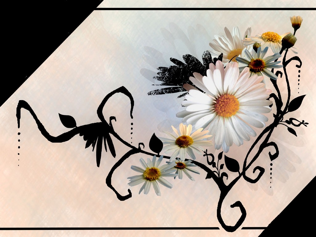 [TRACYJTZ-1111276870-729031.jpg]