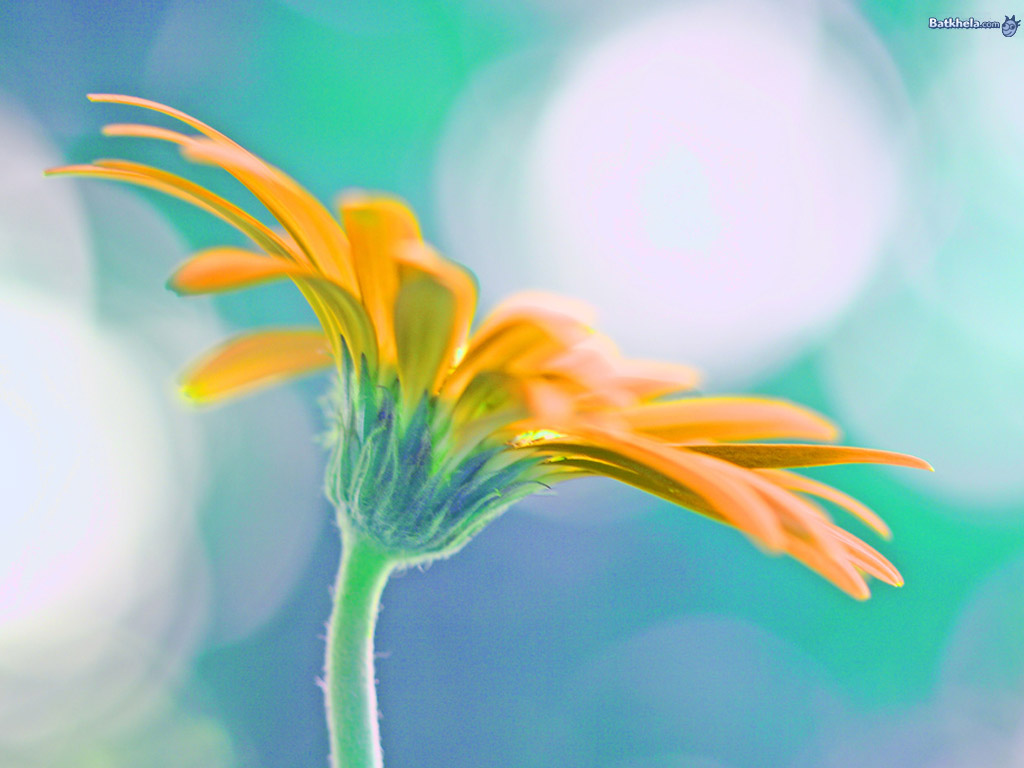 [pic-5940-732900.jpg]