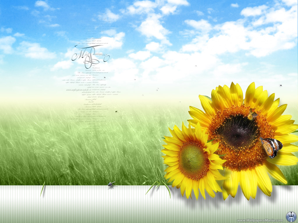 [Other58_KS0O1MA5F-778905.jpg]