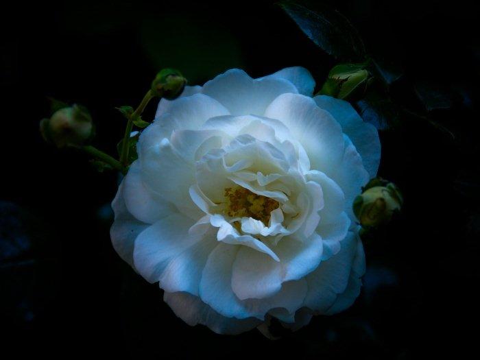 [display_1709902-793370.jpg]