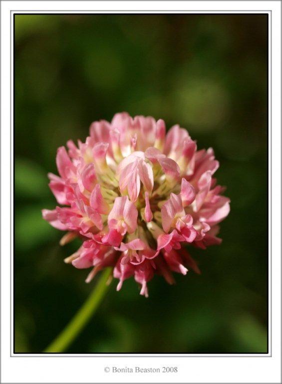 [display_1710849-796075.jpg]