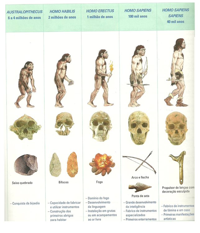 Палеоантропы представители таблица фото