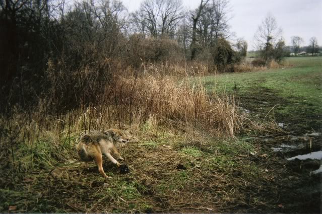 Trapping Supplies Review: A Lesson on Location