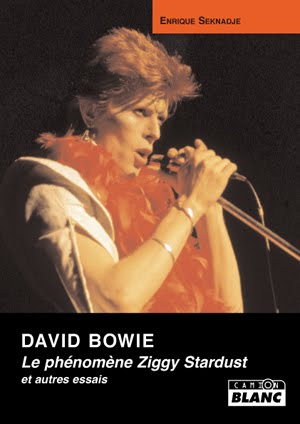 [BowieMaxi.jpg]