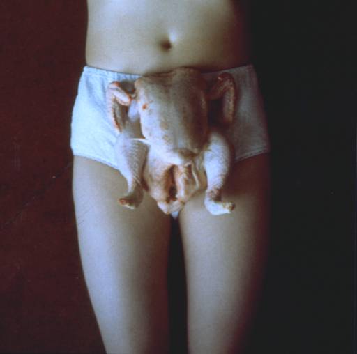 [sarah+lucasChicken+Knickers+++1997.jpg]