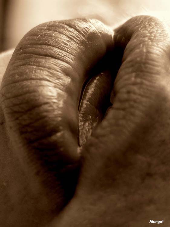 [MargaridaPintodaFonseca2006Rasteirasdaboca.jpg]