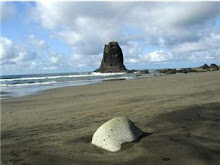 Playa de Benijo