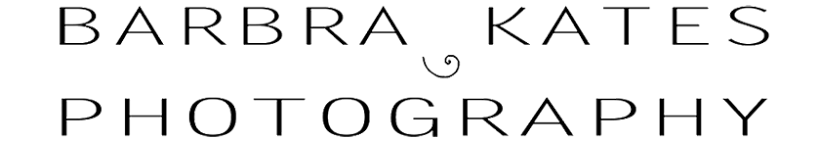 Following My Passion