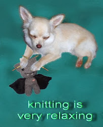 Knitting Chihuahua