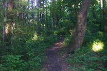 Path through the middle of Victoria Glen Park woods