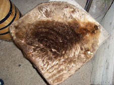 Beaver Siting - R.I.P.